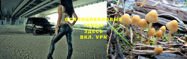 спиды Дмитриев
