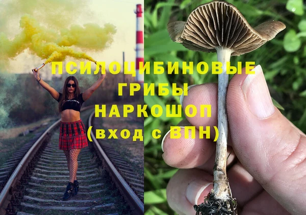 спиды Дмитриев
